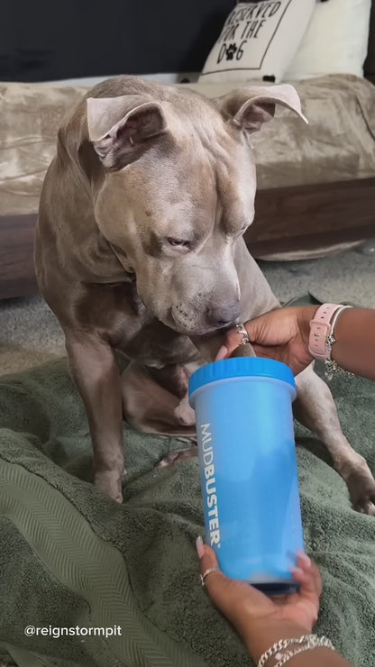 Dog Paw Cleaner